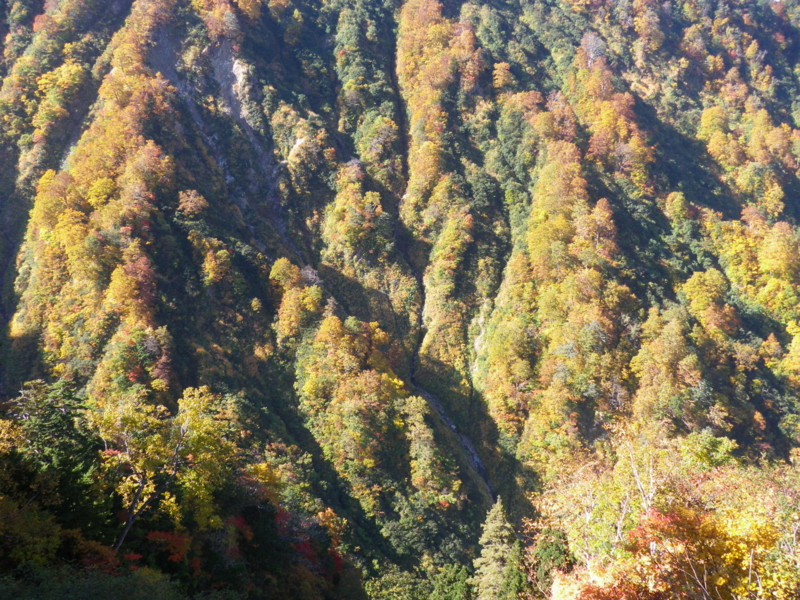 f:id:s-field0808:20121206193308j:image:w360