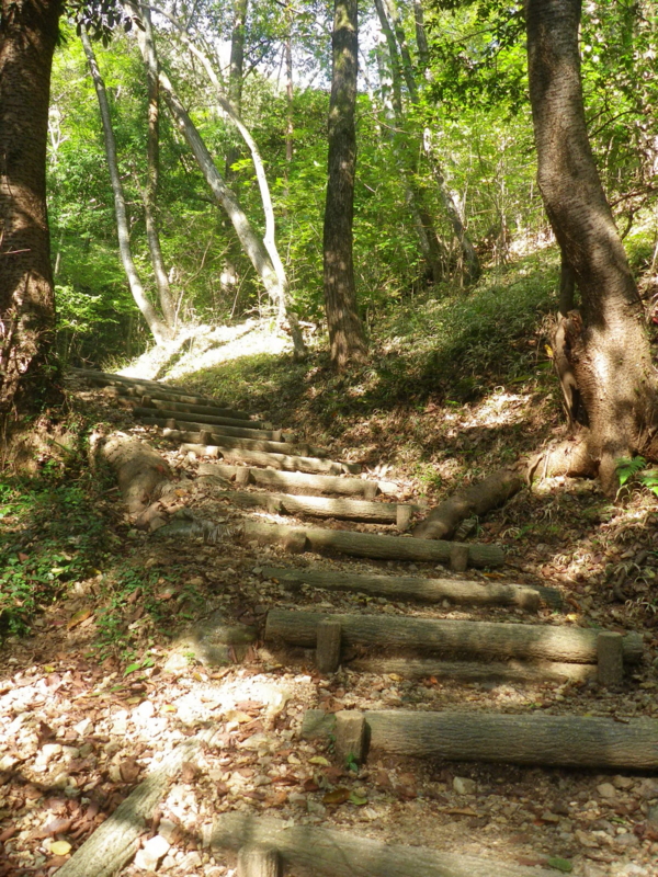 f:id:s-field0808:20121206201331j:image:w360