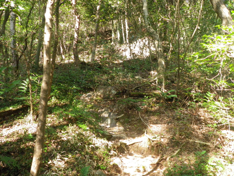 f:id:s-field0808:20121206201453j:image:w360