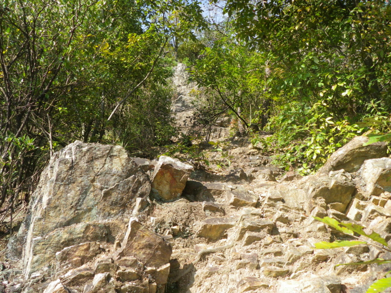 f:id:s-field0808:20121206201844j:image:w360