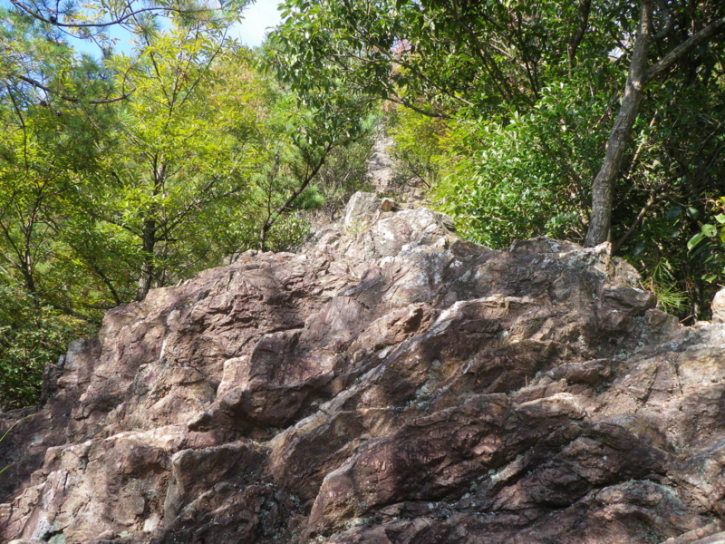 f:id:s-field0808:20121206201849j:image:w360