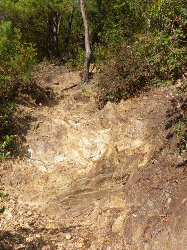 f:id:s-field0808:20121206201853j:image:w360