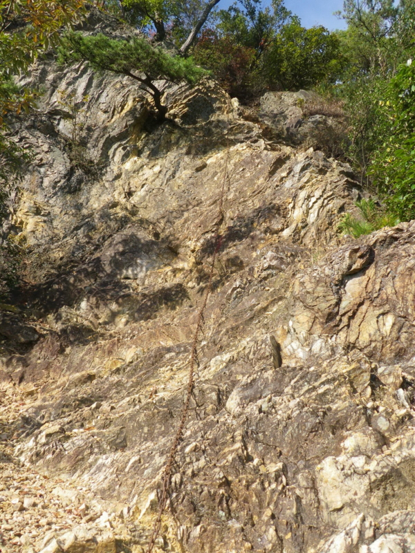 f:id:s-field0808:20121206202104j:image:w360