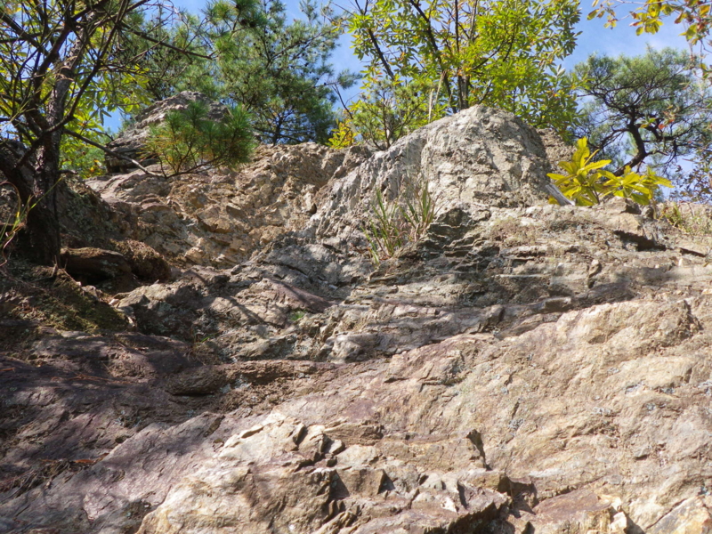 f:id:s-field0808:20121206202108j:image:w360
