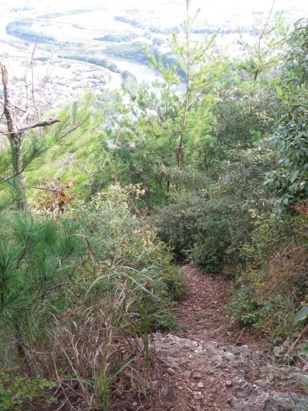 f:id:s-field0808:20121206202457j:image:w360