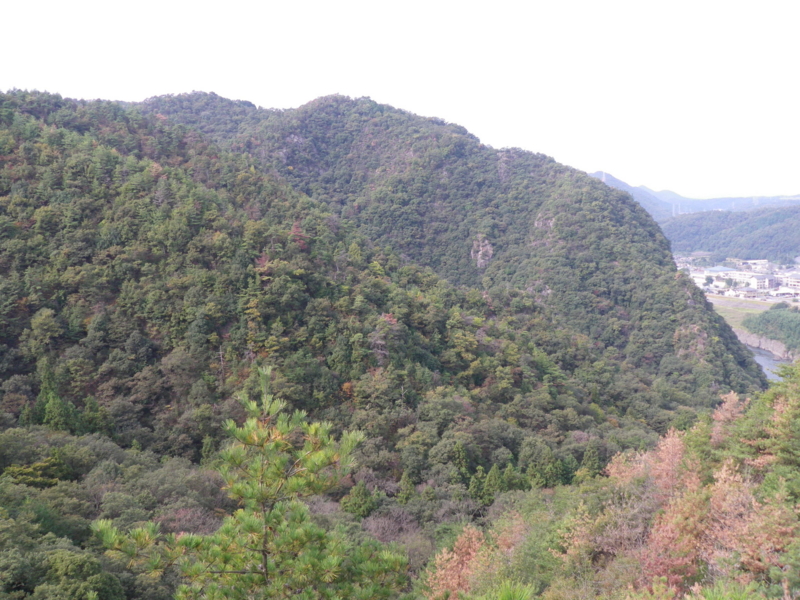 f:id:s-field0808:20121206202650j:image:w360