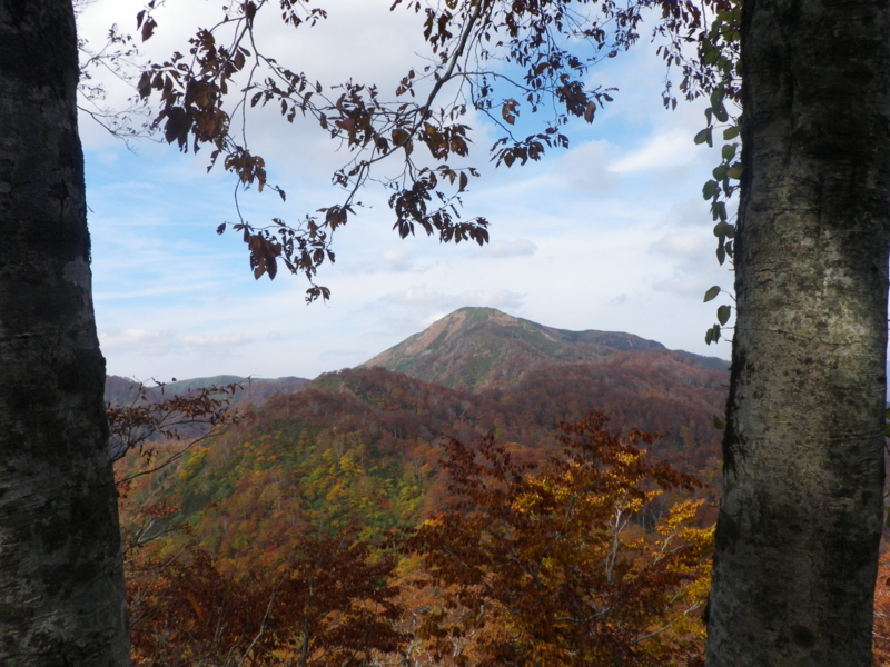 f:id:s-field0808:20121211193635j:image:w360