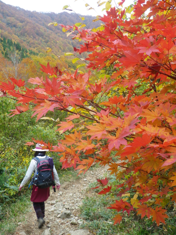 f:id:s-field0808:20121211194541j:image:w360