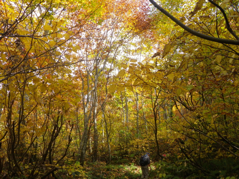 f:id:s-field0808:20121211194546j:image:w360