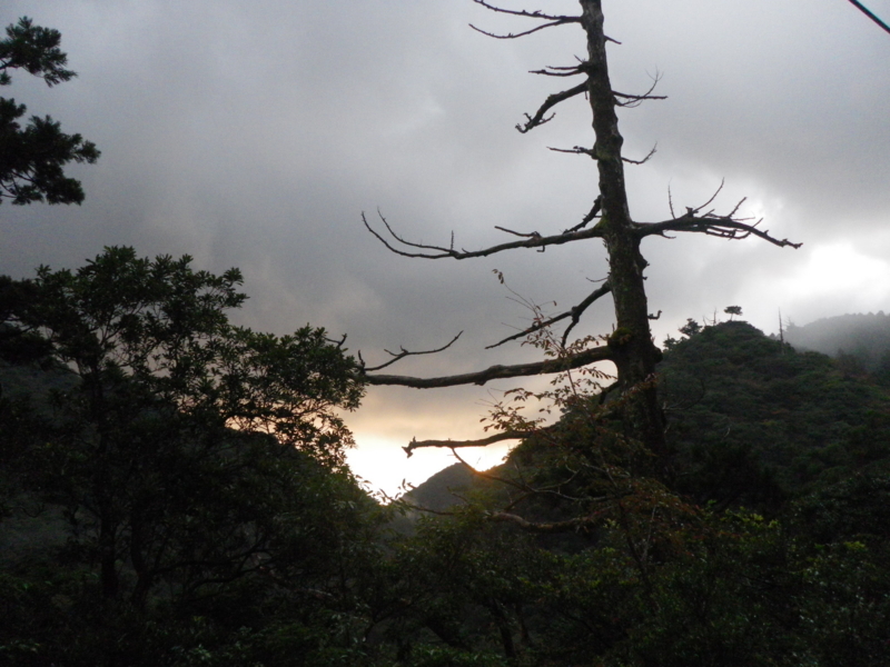 f:id:s-field0808:20121214155530j:image:w360