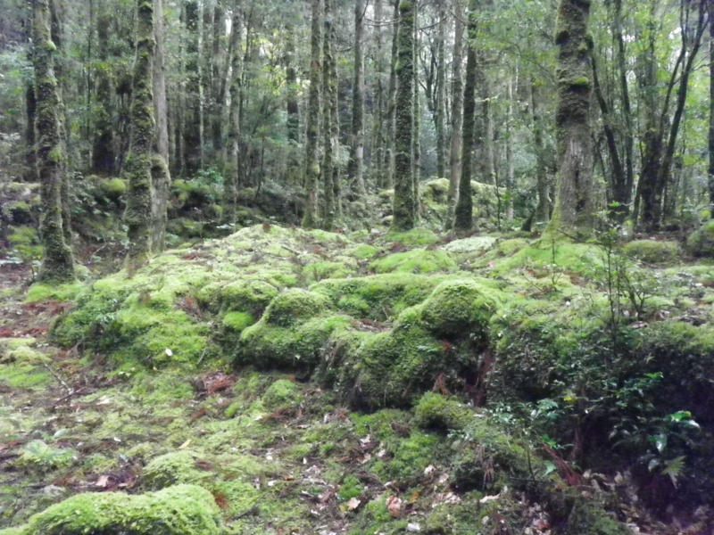 f:id:s-field0808:20121214160637j:image:w360