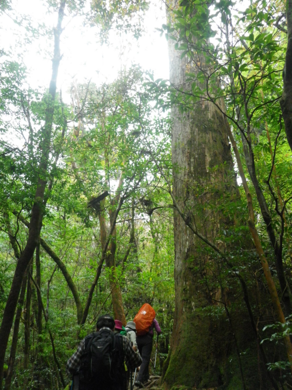 f:id:s-field0808:20121214160921j:image:w360