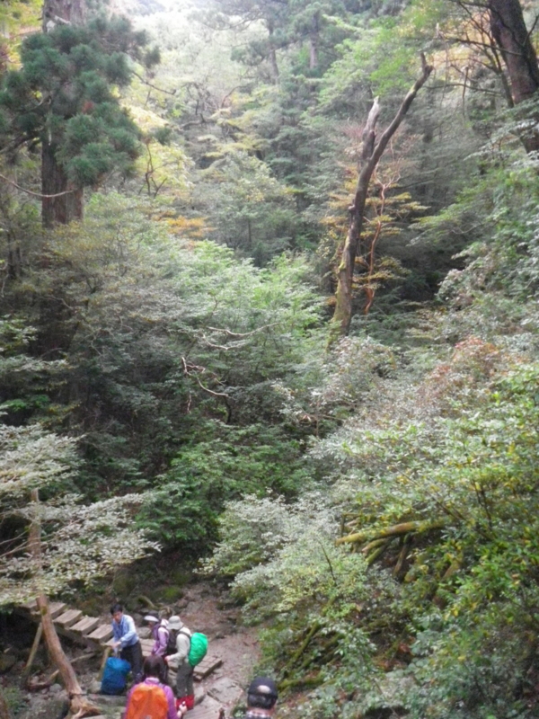f:id:s-field0808:20121214161812j:image:w360