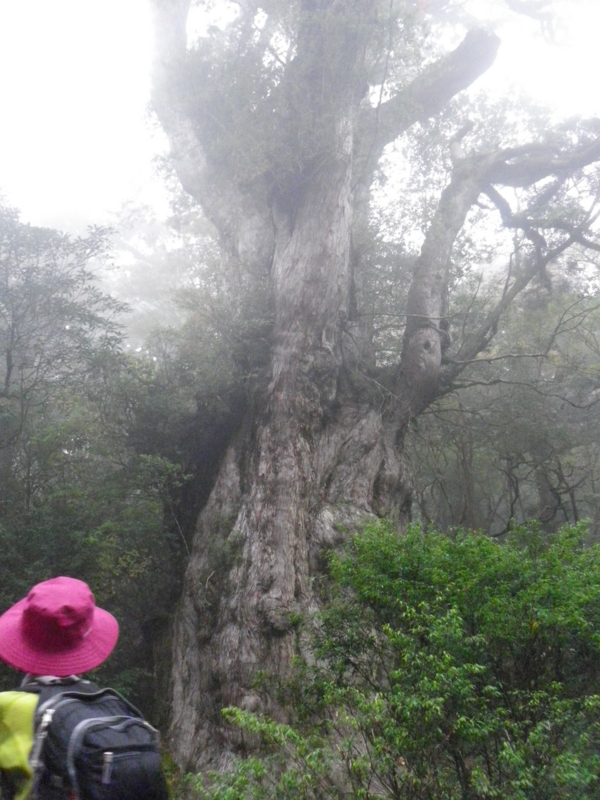 f:id:s-field0808:20121214162244j:image:w360
