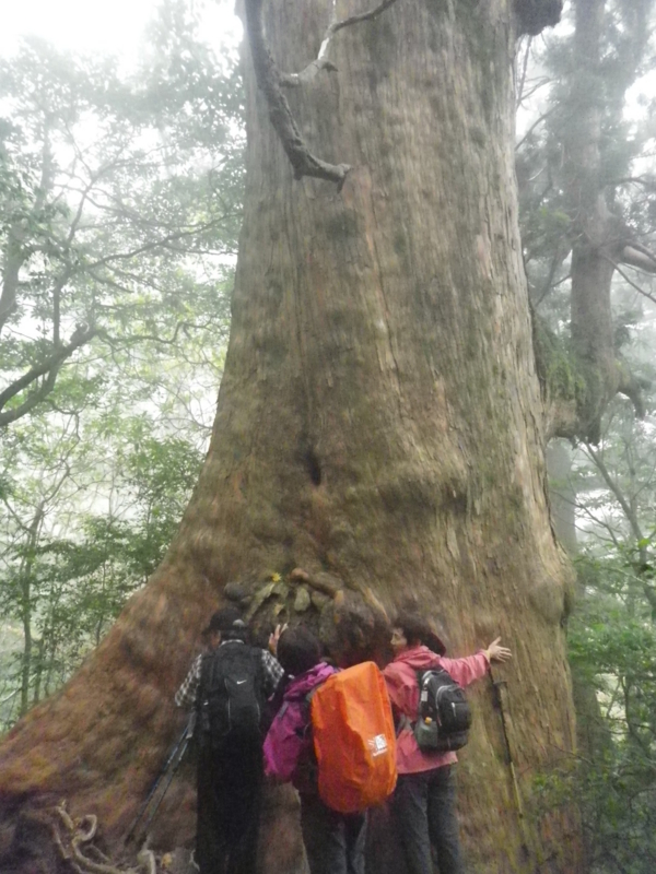 f:id:s-field0808:20121214162344j:image:w360