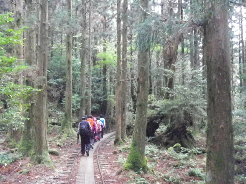 f:id:s-field0808:20121214162645j:image:w360