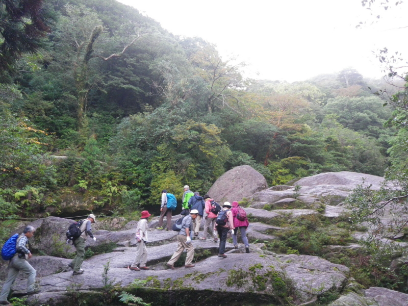 f:id:s-field0808:20121214170332j:image:w360