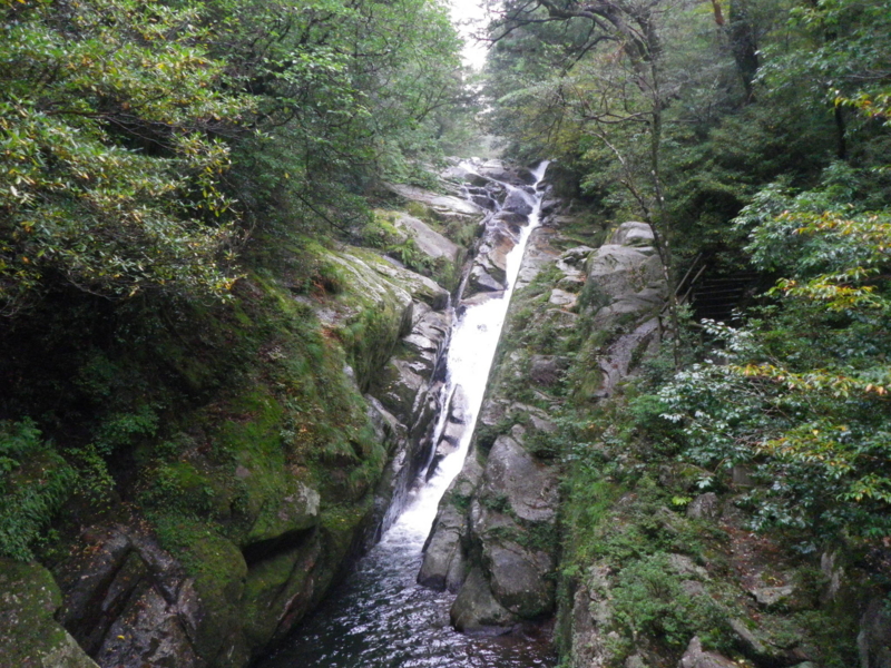 f:id:s-field0808:20121214170536j:image:w360