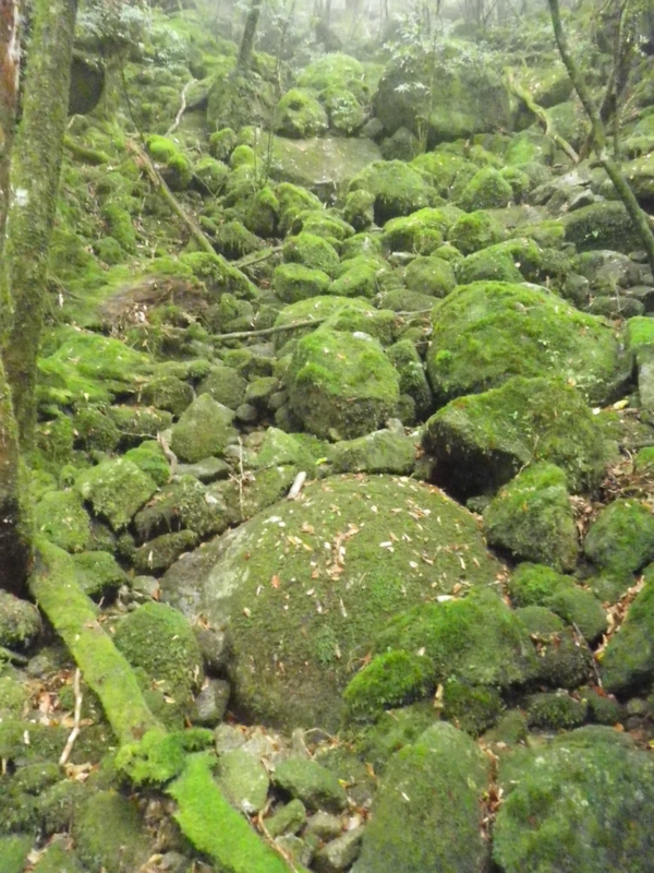 f:id:s-field0808:20121214170806j:image:w360