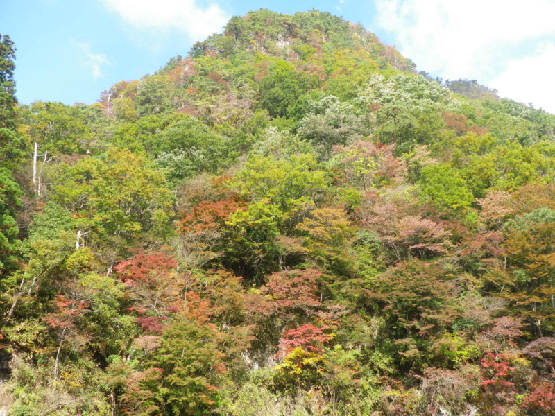 f:id:s-field0808:20121214183809j:image:w360