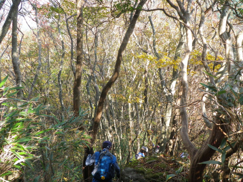 f:id:s-field0808:20121214184401j:image:w360