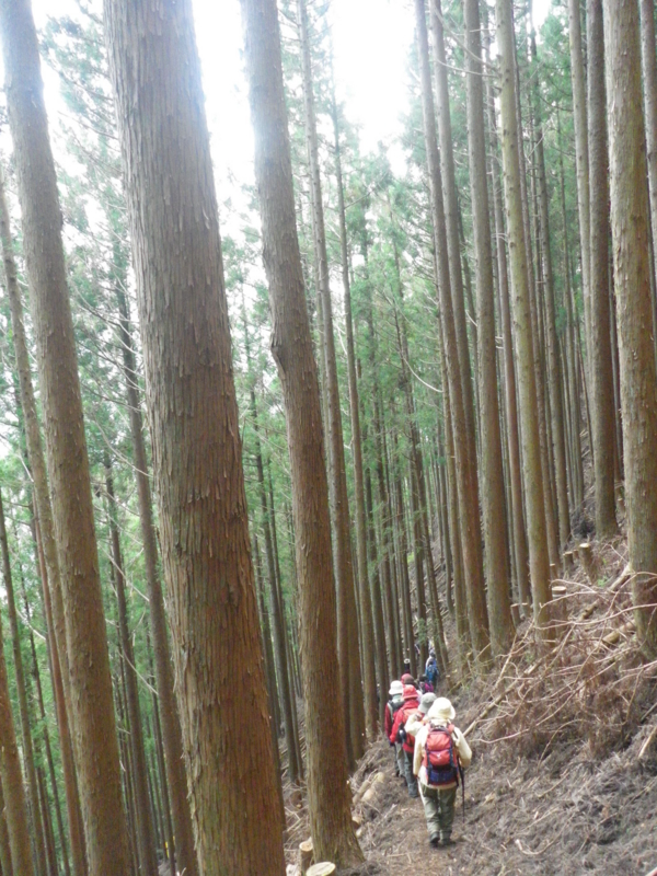 f:id:s-field0808:20121214184538j:image:w360