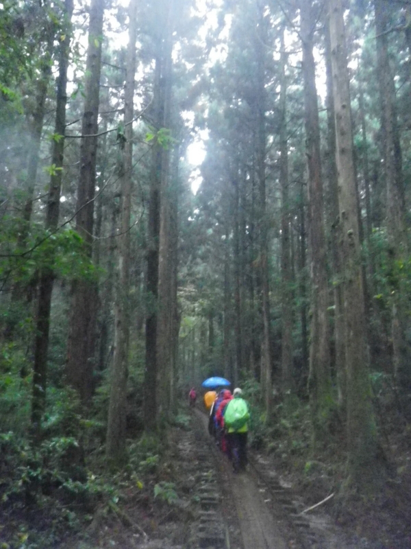 f:id:s-field0808:20121215182105j:image:w360