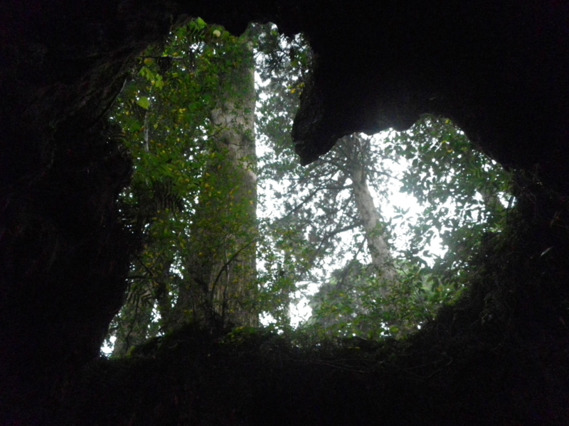 f:id:s-field0808:20121215182452j:image:w360
