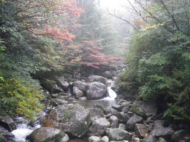 f:id:s-field0808:20121215182607j:image:w360