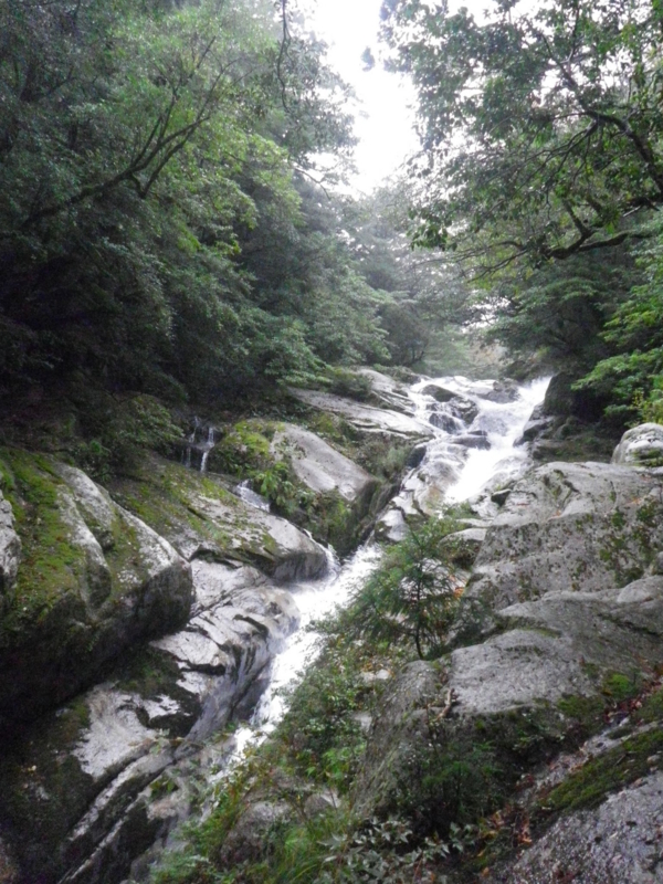 f:id:s-field0808:20121215182809j:image:w360