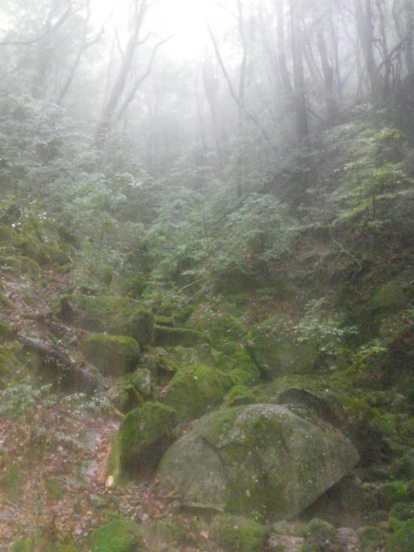 f:id:s-field0808:20121215183915j:image:w360