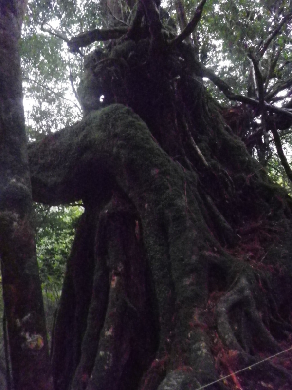 f:id:s-field0808:20121215183919j:image:w360