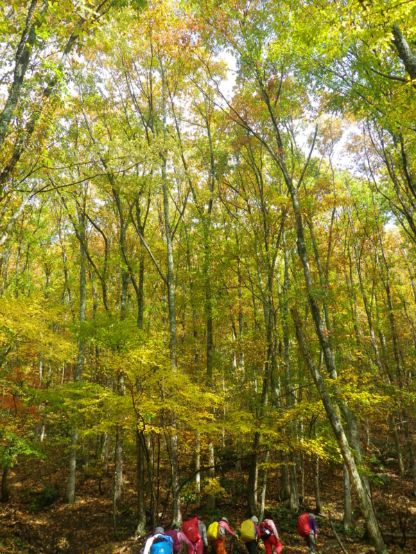 f:id:s-field0808:20121215191511j:image:w360