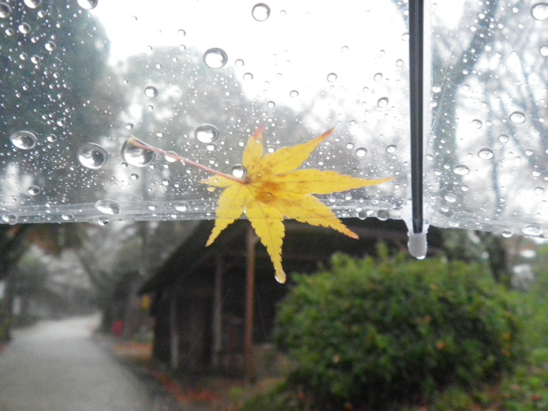 f:id:s-field0808:20121215193146j:image:w360
