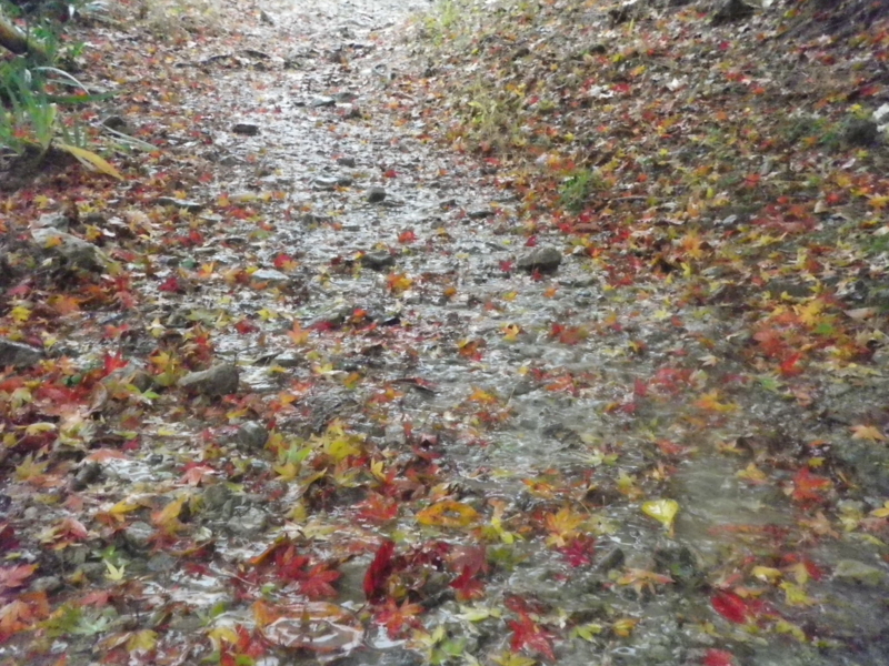 f:id:s-field0808:20121215193151j:image:w360