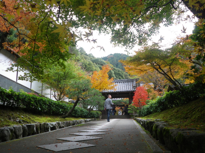 f:id:s-field0808:20121224130037j:image:w360