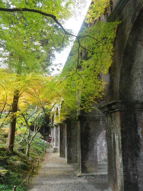 f:id:s-field0808:20121224130042j:image:w360