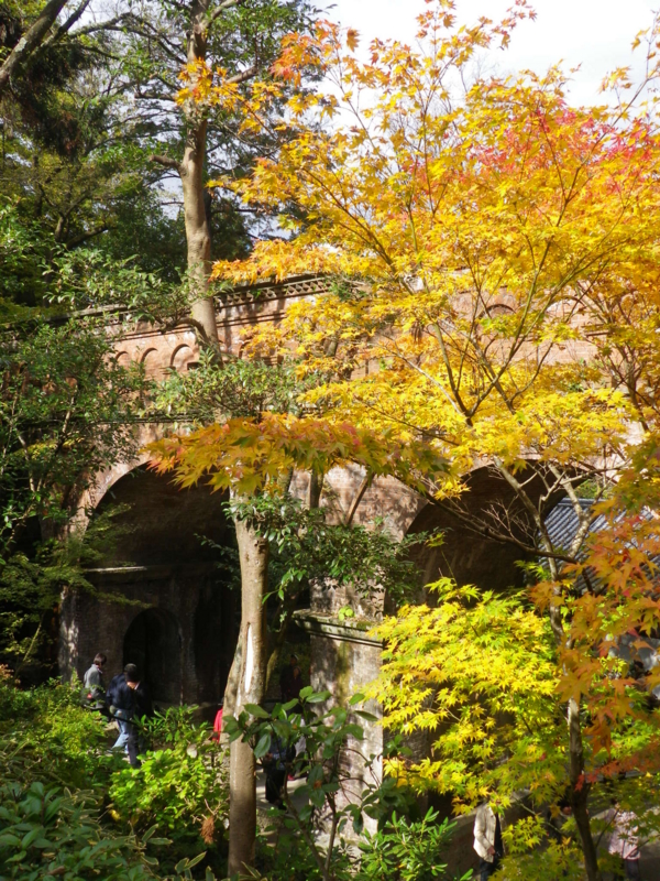 f:id:s-field0808:20121224130047j:image:w360