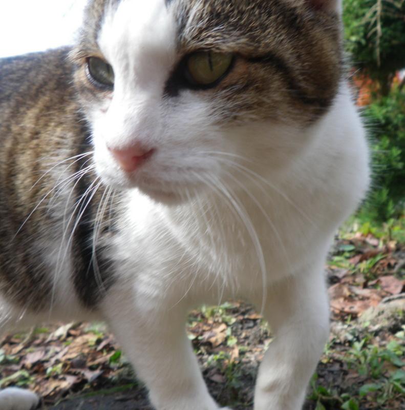 f:id:s-field0808:20121224131846j:image:w360