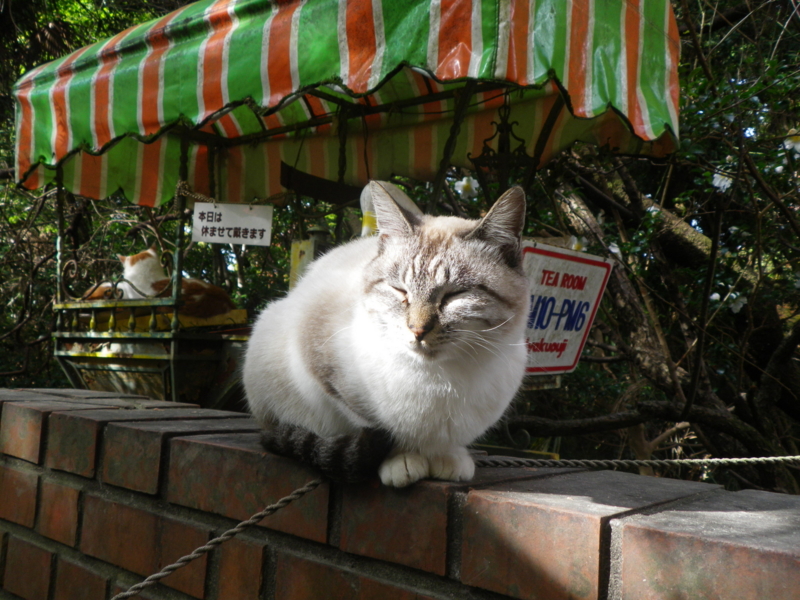 f:id:s-field0808:20121224131850j:image:w360