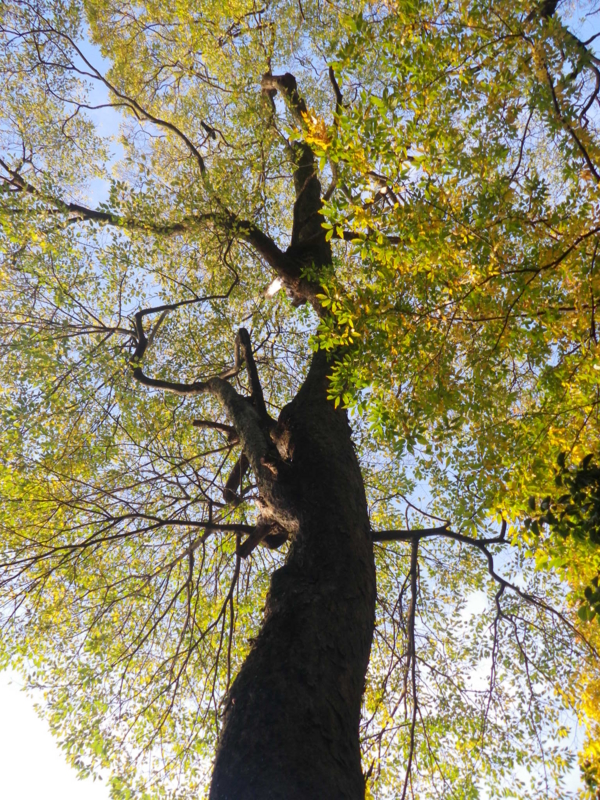 f:id:s-field0808:20121224132112j:image:w360