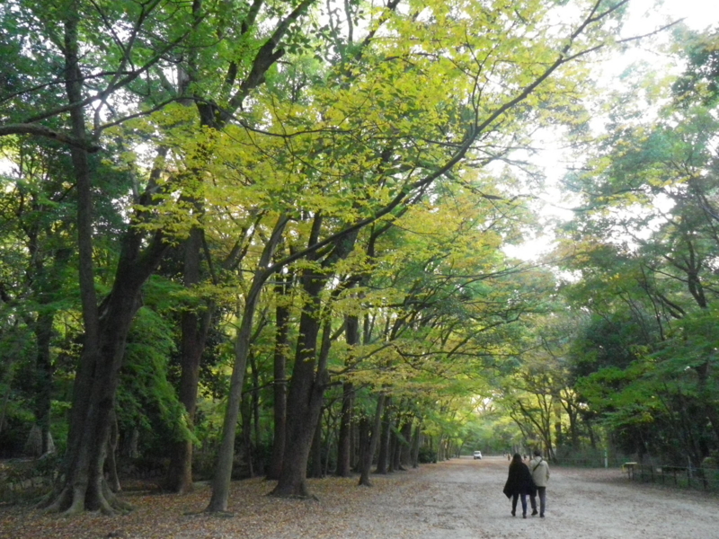 f:id:s-field0808:20121224132116j:image:w360