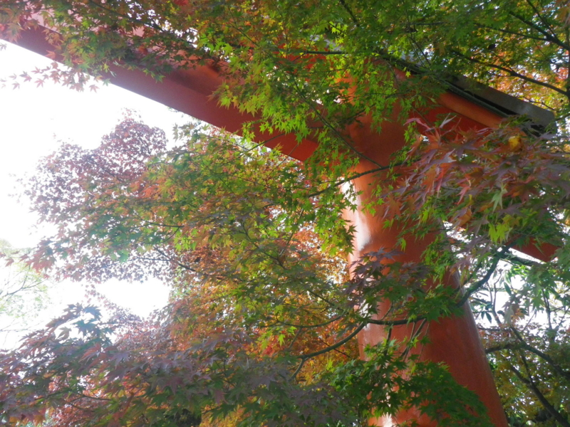 f:id:s-field0808:20121224132120j:image:w360