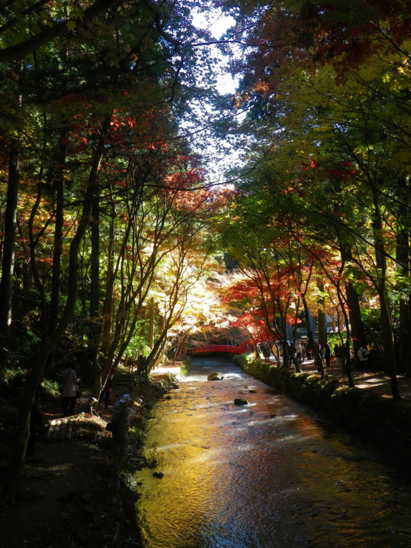 f:id:s-field0808:20121226200923j:image:w360