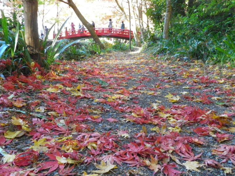 f:id:s-field0808:20121226201141j:image:w360