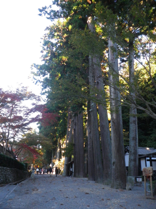 f:id:s-field0808:20121226201619j:image:w360