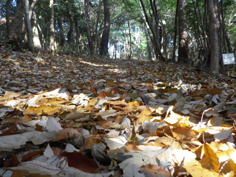 f:id:s-field0808:20130109200806j:image:w360