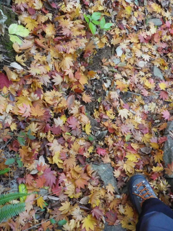 f:id:s-field0808:20130109200923j:image:w360