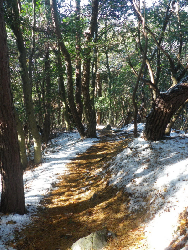 f:id:s-field0808:20130110183045j:image:w360
