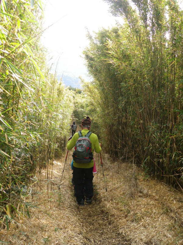 f:id:s-field0808:20130116185750j:image:w360